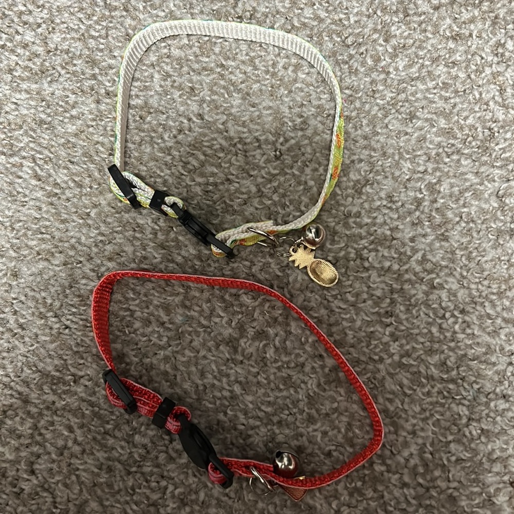 Two cat collars
